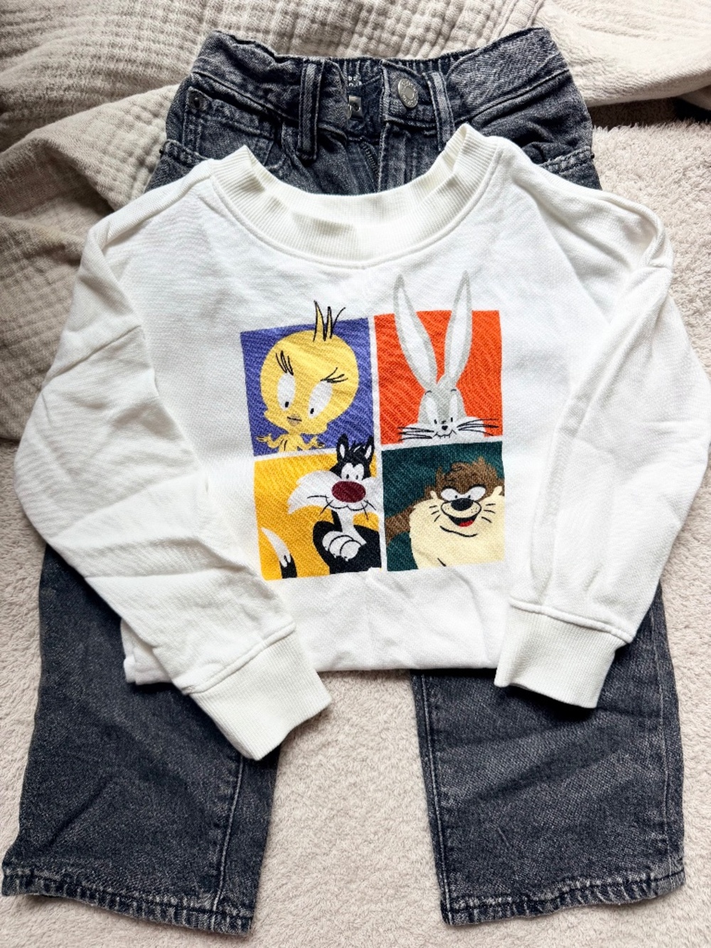 Boys 90’s Outfit- Hanna Andersson Sweatshirt/Gap Jeans